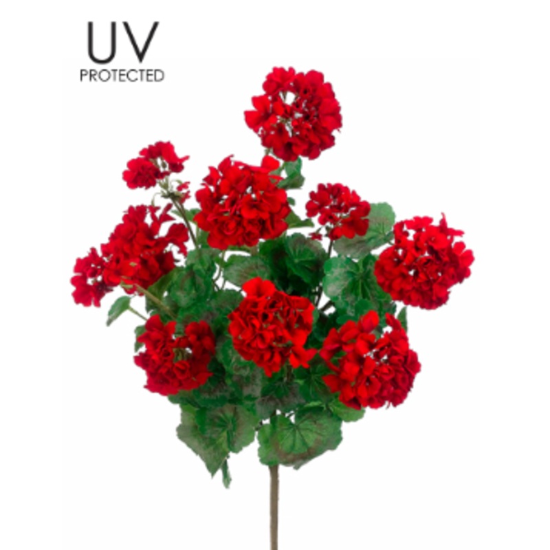FBG041-RE (27142) – Uvpro Geranium Bush X5 24 Red