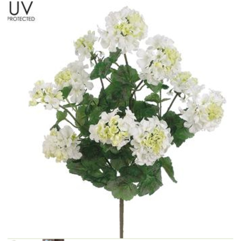 FBG041-WH (27141) – Uvpro Geranium Bush X5 24 White