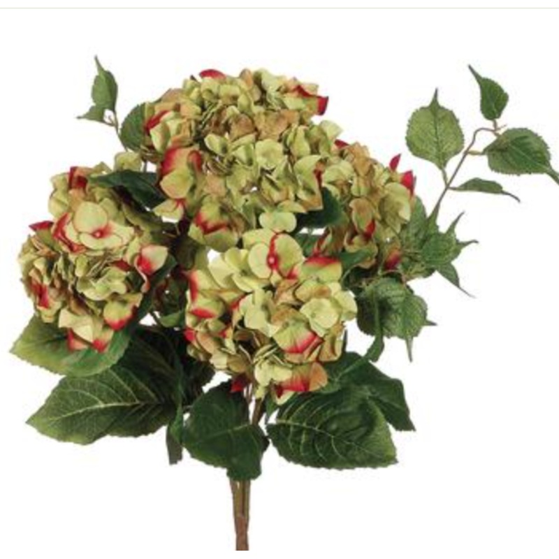 FBH345-GR/BT (29248) – Hydrangea Bush X5 22 Green/Bt