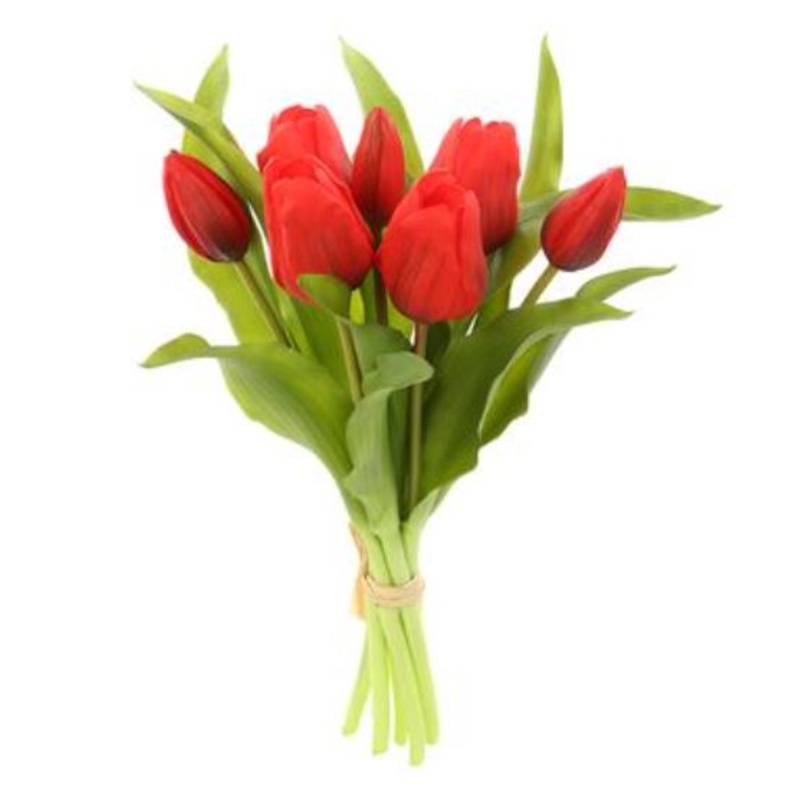 FBQ165-RE DISC (31452) – Tulip Bouquet Red 11.75