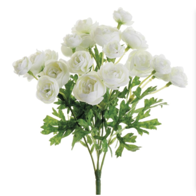 FBR105-CR (32136) – Mini Ranunculus Bush 10.5 Cream