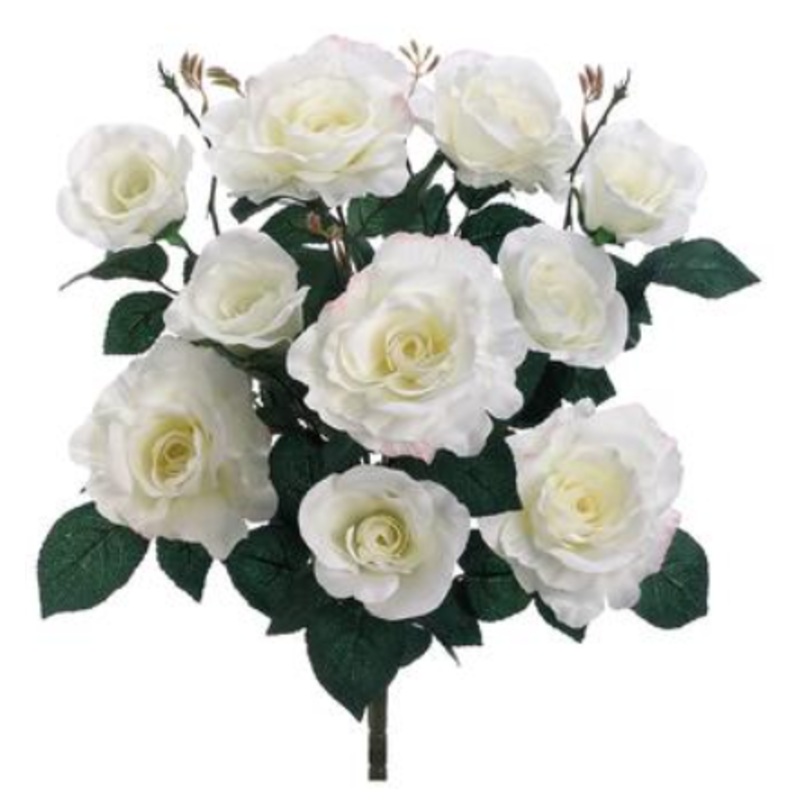 FBR628-WH (27420) – Rose Bush X10 18 White
