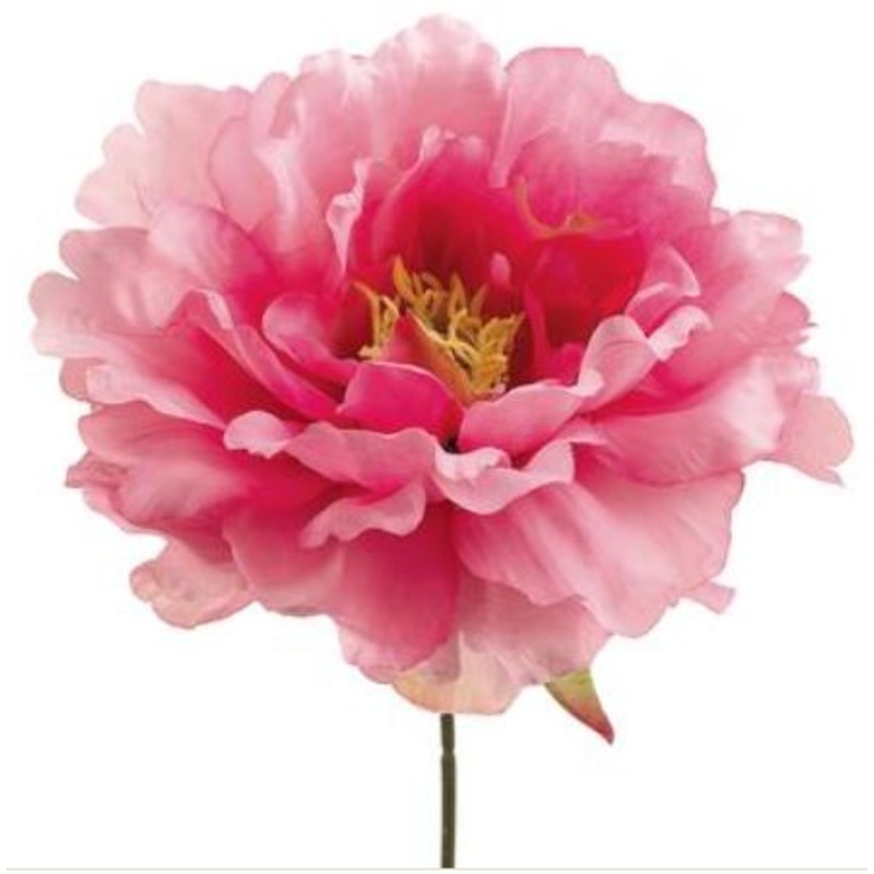 FKP162-PK (2992) – Peony Pick 9 Pink