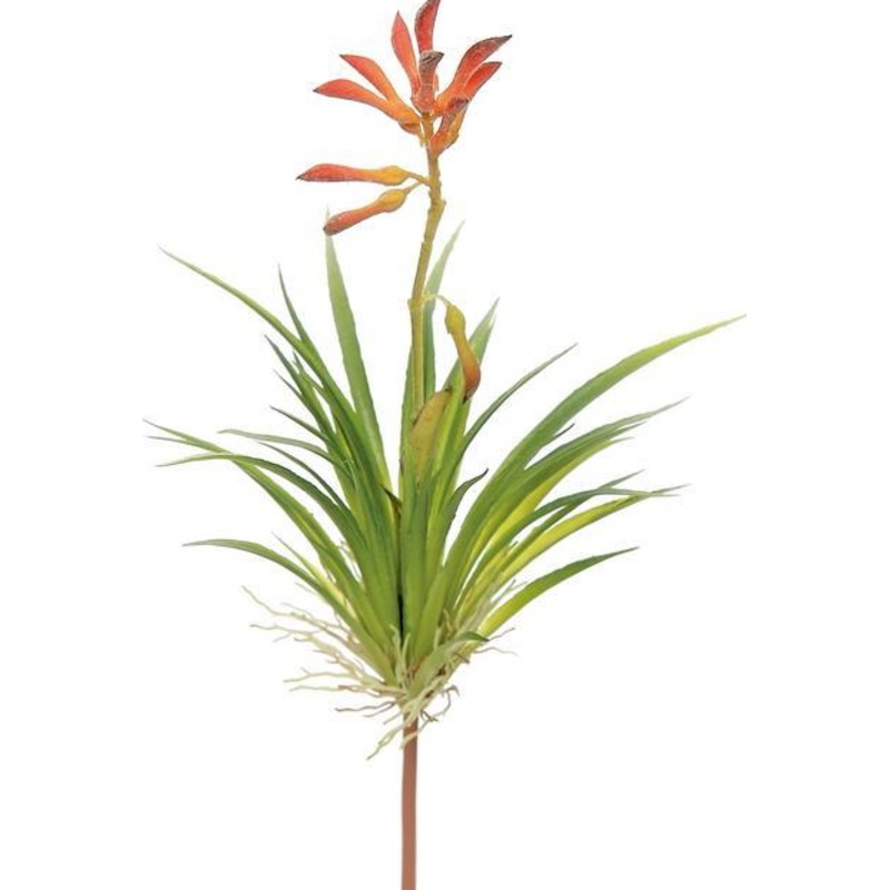 FL2239-BU DISC (27156) – Blooming Succulent 10 Burgundy