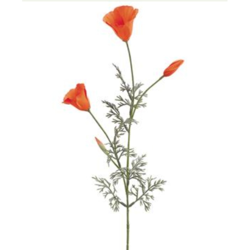 FP8409-OR/GO (10703) – California Poppy 28 Orange/Gold