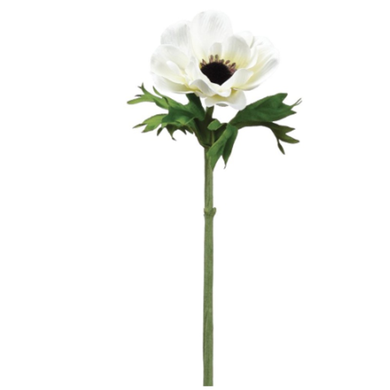 FSA048-CR (32137) – Anemome Spray 16.5 Cream