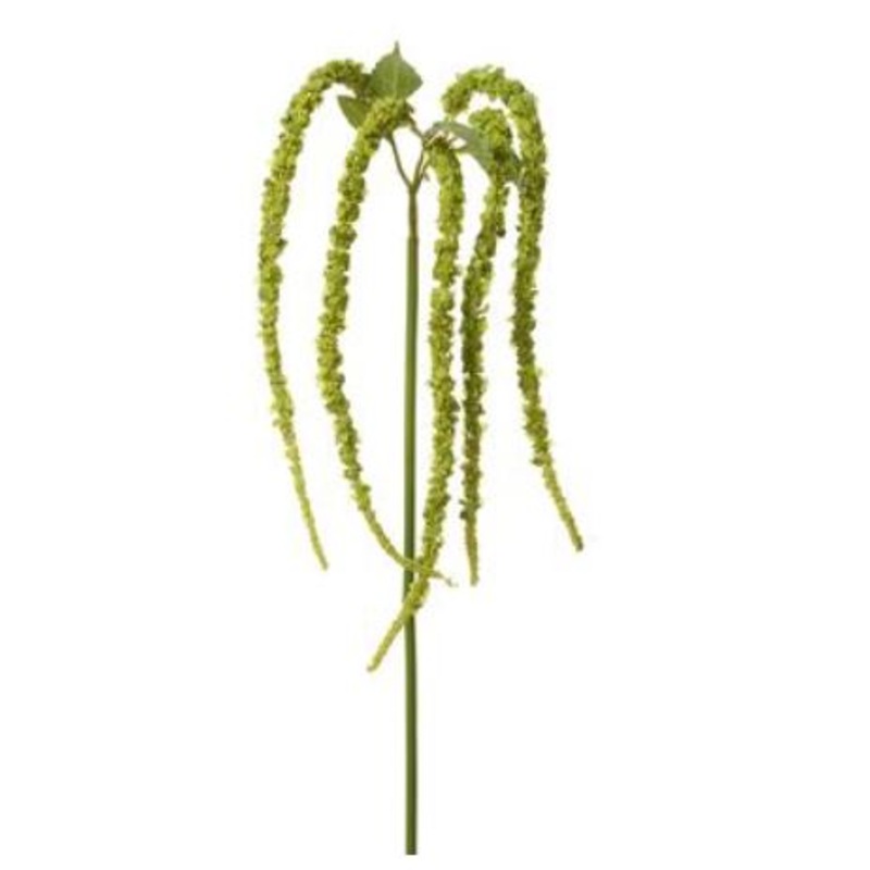 FSA157-GR (30923) – Amaranthus Hanging Spray Green