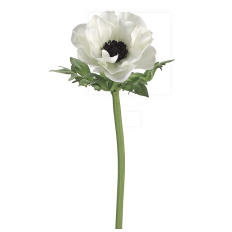 FSA801-CR/BK (32139) – Anenome Spray 17 Cream Black