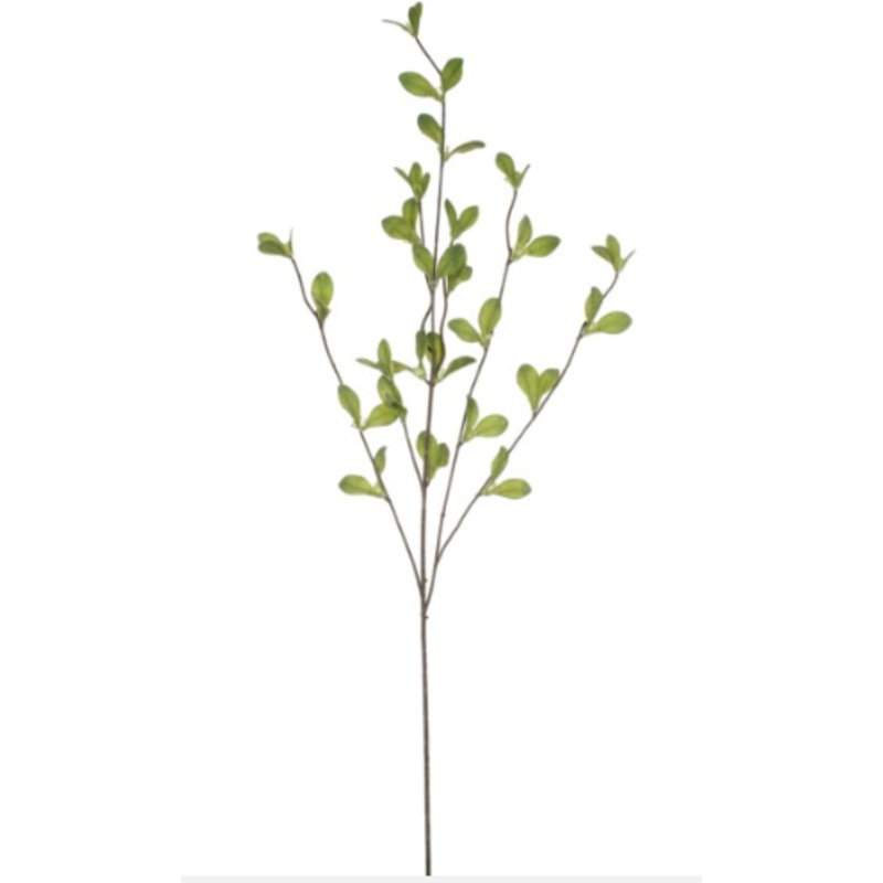 06350.GR (25901) – Morning Glory Vine Branch 34