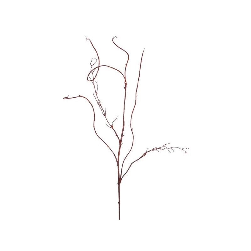 3089.BR (21637) – Curly Willow Vine