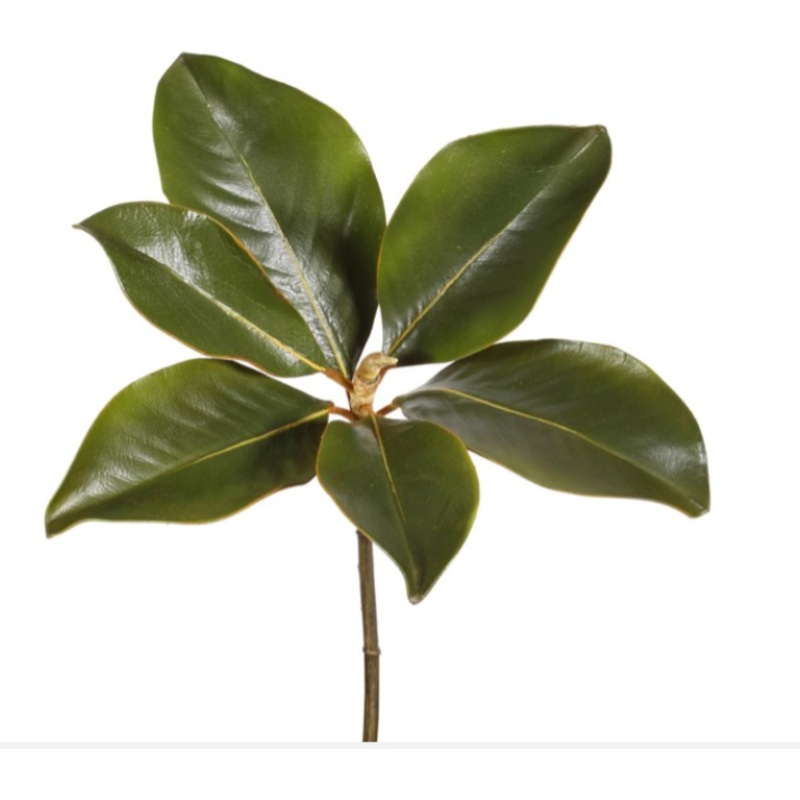 95182.GR (13952) – Magnolia Leaf Pick14 Green