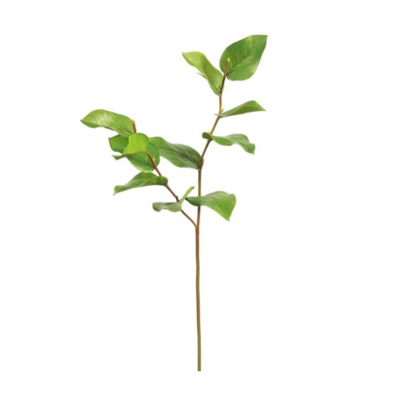95468.GR (25903) – Salal Leaf Stem Green 25