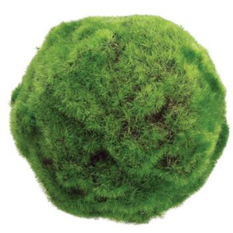 AA1110-GR (19286) – Moss Ball Green 5