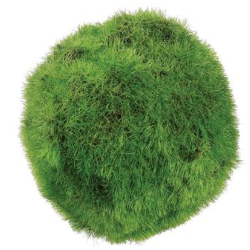 AA4793-GR (17827) – Moss Ball 3 Green