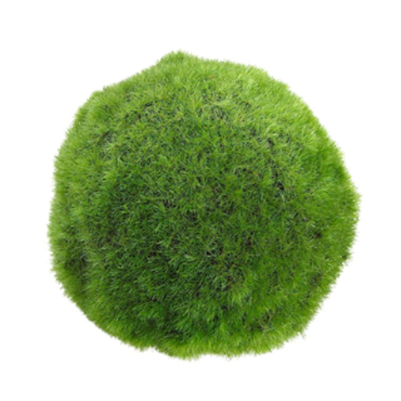 AA4794-GR (17825) – Moss Ball 4 Green