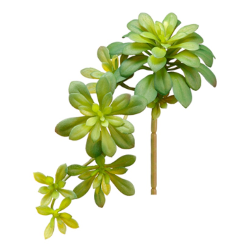 CA0188-GR (27115) – Soft Aeonium Pick 11.8 Gr