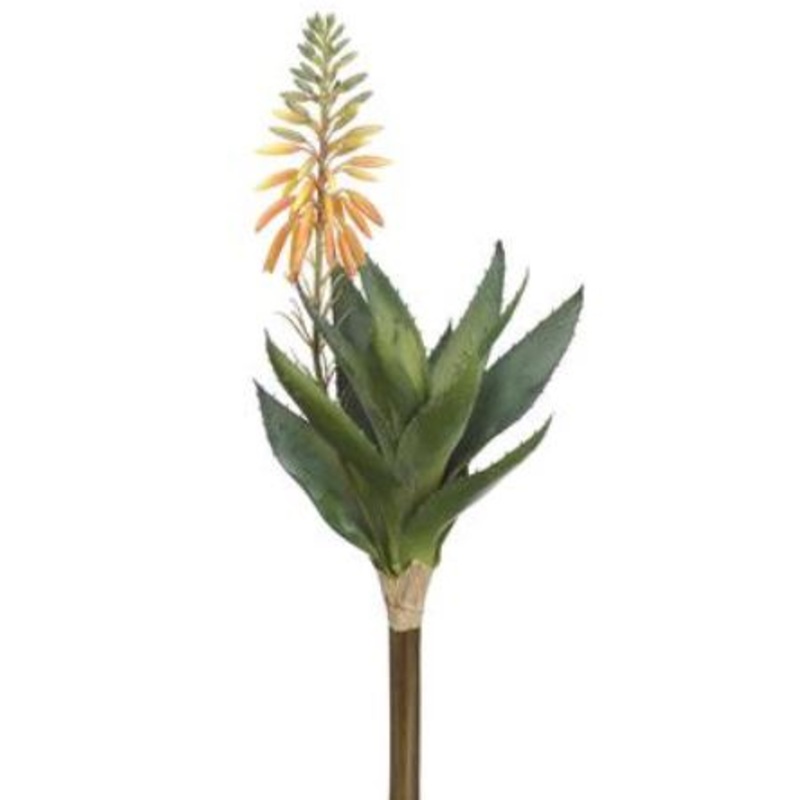 CA1316-OR/GR (30428) – Blooming Agava 15 Pick Or/Gr