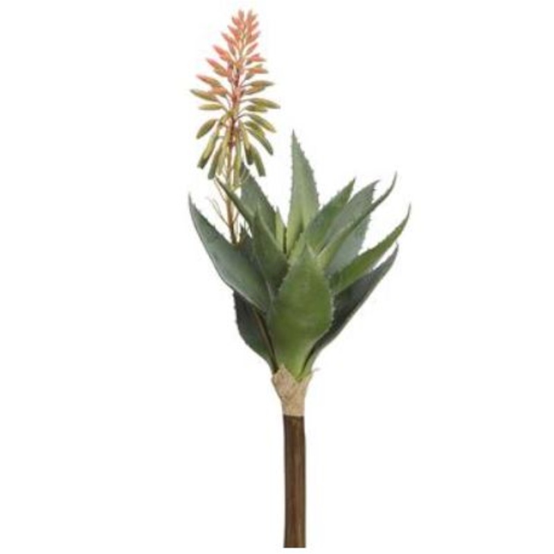 CA1316-PK/GR (30429) – Blooming Agava 15 Pick Pk/Gr