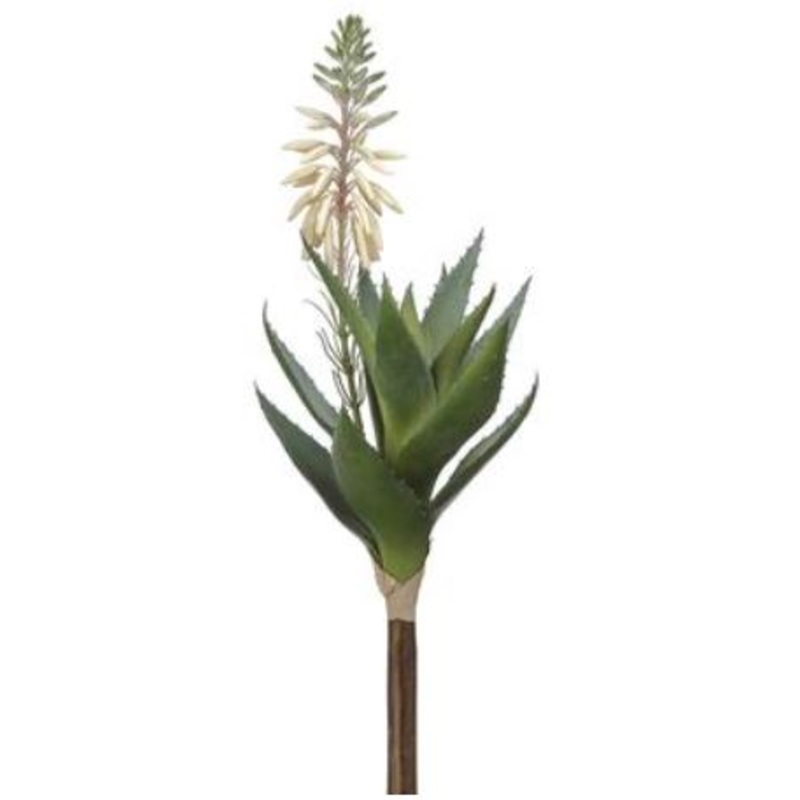 CA1316-WH/GR (30427) – Blooming Agava 15 Pick Wh/Gr