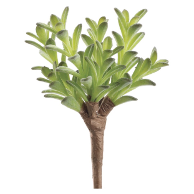 CD9388-GR/FK (23431) – Donkey Tail Bush 7 Gr/Fk