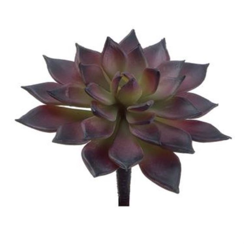 CE9576-BU/GR (15209) – Mini Echeveria Cactus 4.75 Burgundy