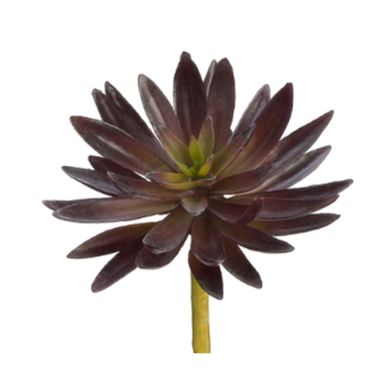 CM4045-RU (17815) – Agave Pick 7.5 Rust