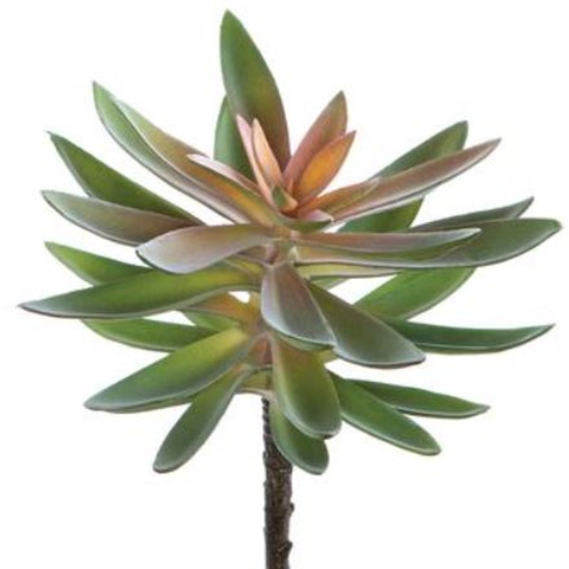 CM4046-GR (29214) – Agave Pick Gr 8.5