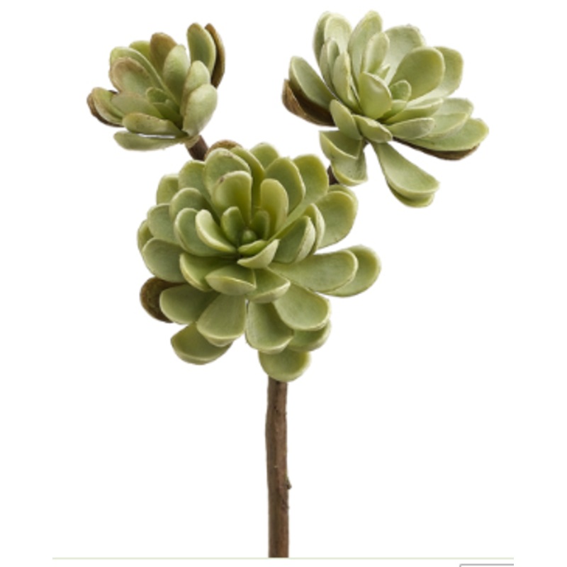 CM4125-GR (17813) – Hen And Chicks Stem X3 10 Green