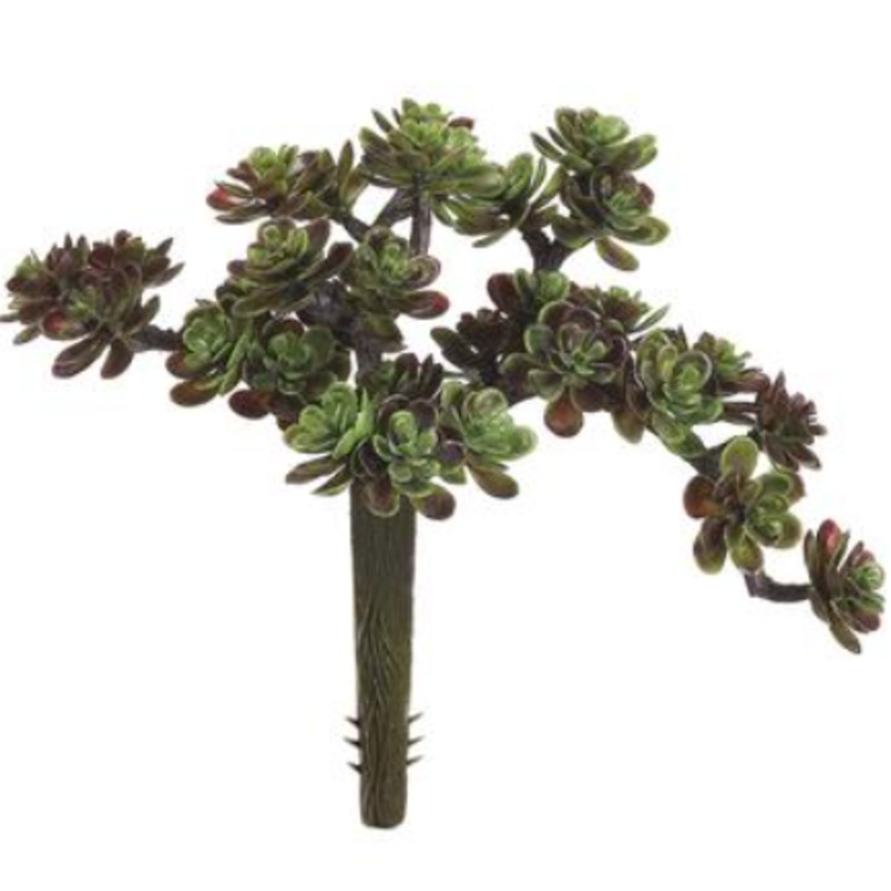CM4504-GR/DU (24690) – 5 Sedum Pick 30L Gr/Du