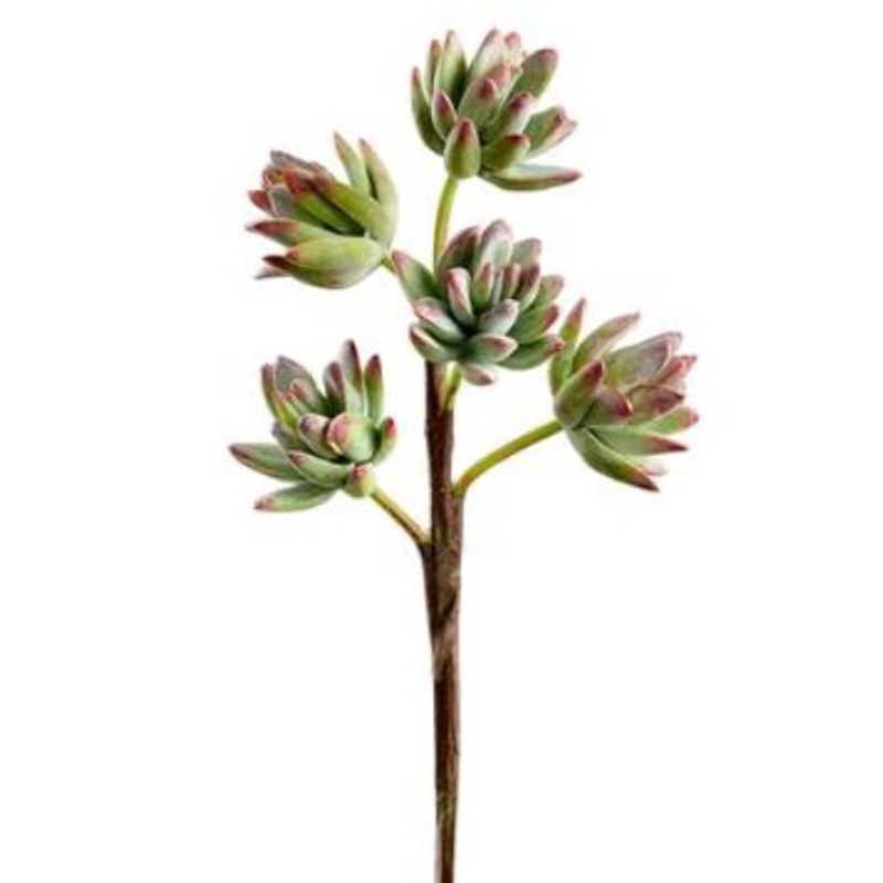 CS0113-GR/PK (30435) – Soft Sedum 10 Pick Gr/Pk