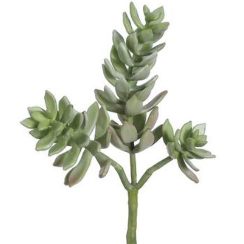 CS4435-GR/FS (30433) – Succulent Plant 15 X3 Gr/Fs