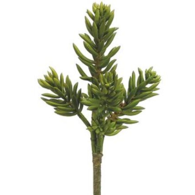 CS6983-GR (30431) – Senecio 16 Spray Gr