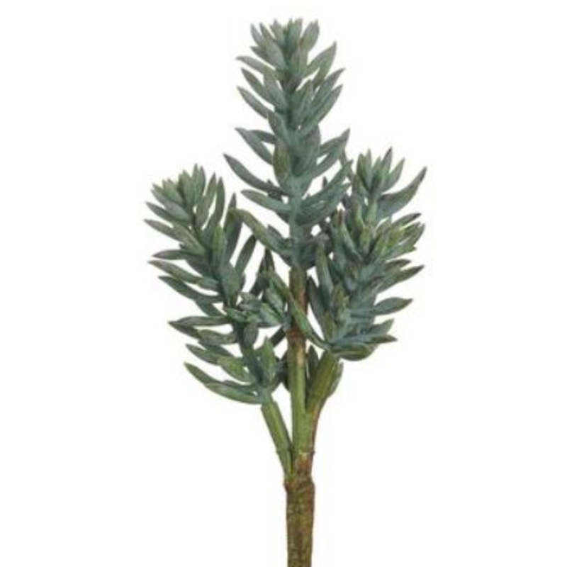 CS6983-GR/FS (30432) – Senecio 16 Spray Gr/Fs