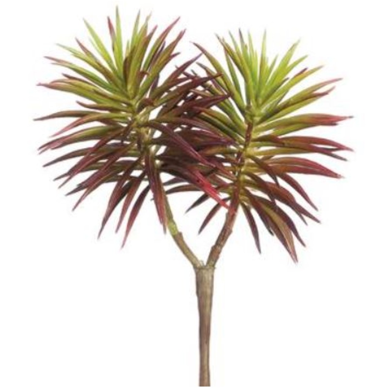 CS7009-BU (29205) – St. Spiky Senecio Pick Bu 8