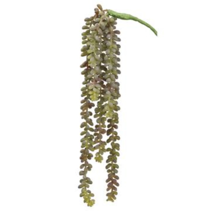CS9525-GR (28388) – Donkey Tail Vine 19 Gr