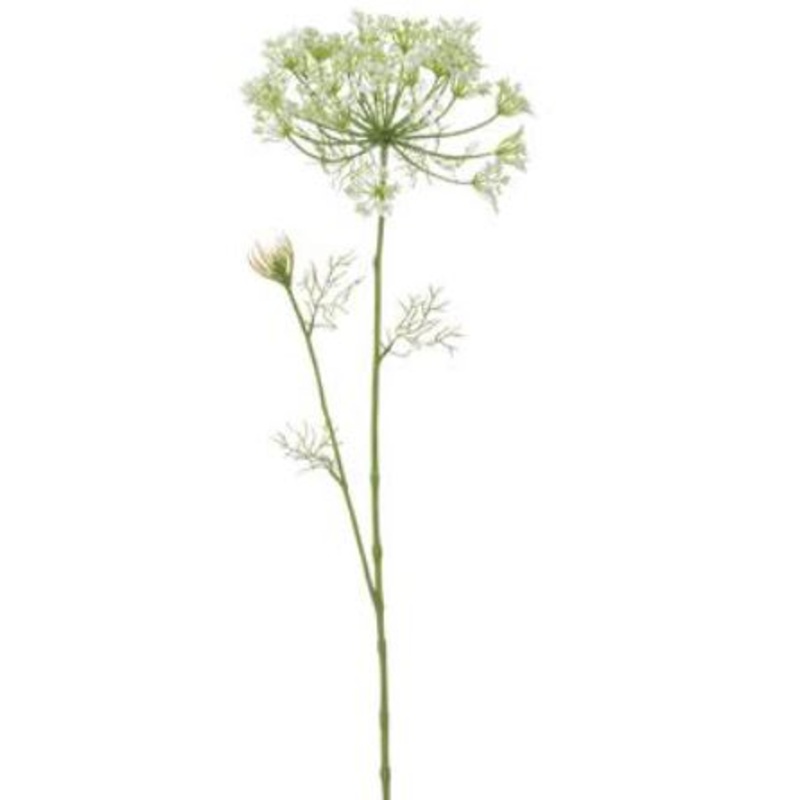 FSD403-CR (30469) – Dill 38 Spray Cream