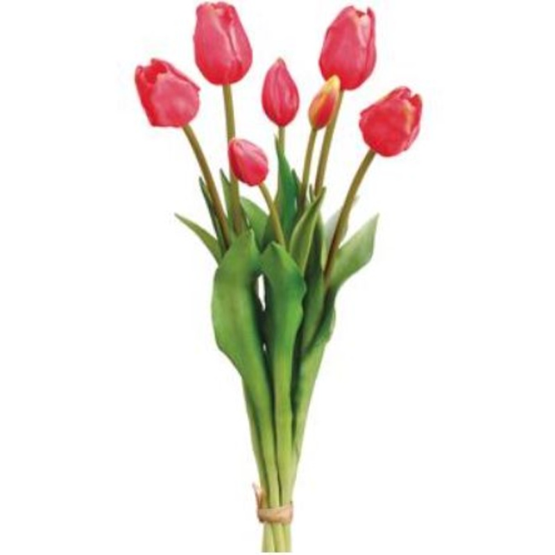FST129-CE (29179) – Tulip X7 Ce 18