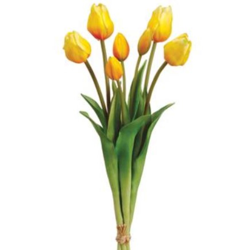 FST129-YE (29177) – Tulip X7 Yellow 18