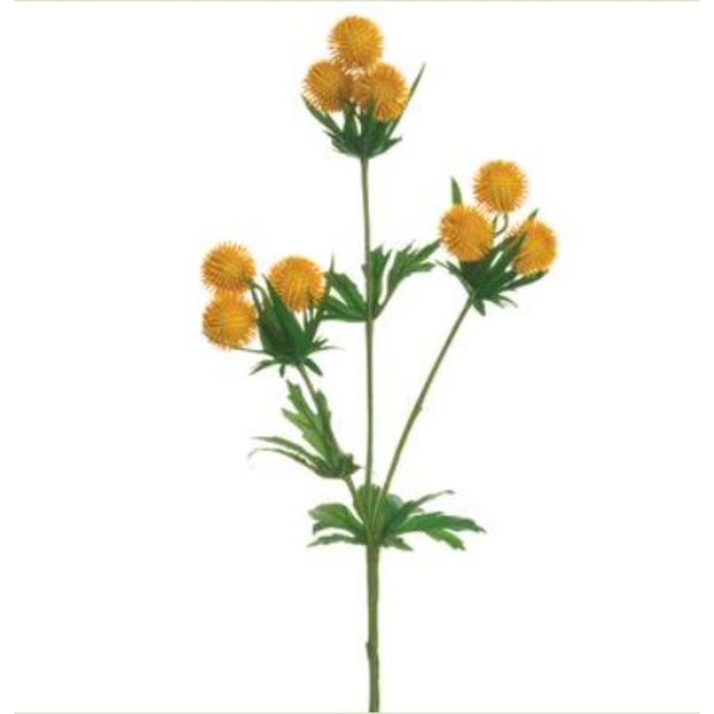 FST168-MD (26277) – Globe Thistle Spray 18 Md