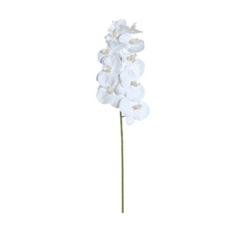 GA84300B.WH (23648) – Phal Orchid W/10F Small X1 Stem