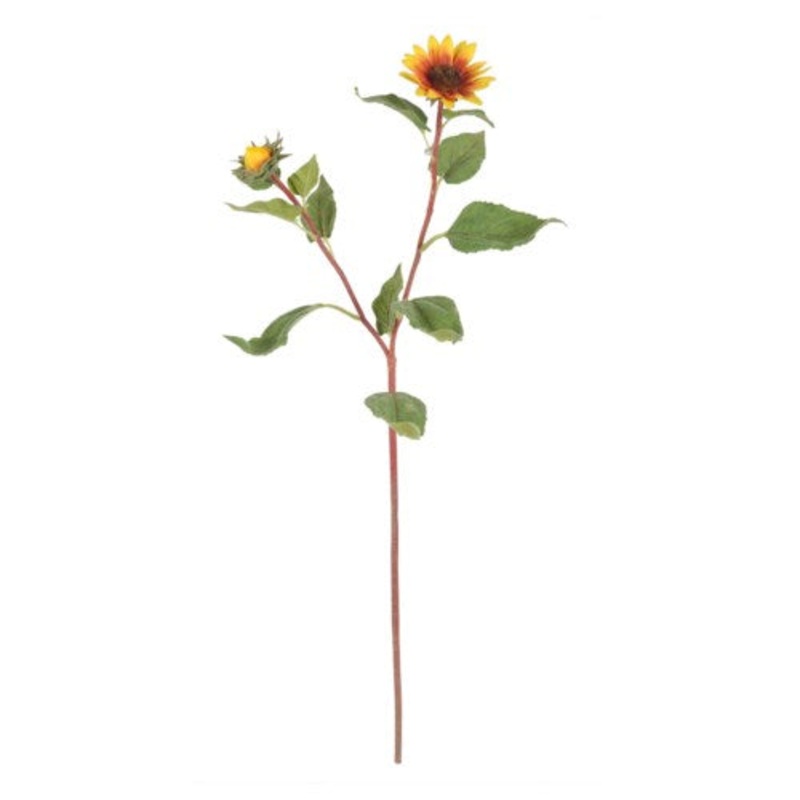 GB85241N.YB (26258) – Sunflower 20 Coneflower Stem 22