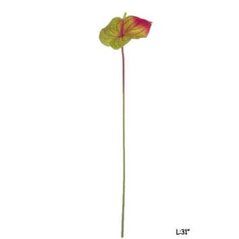 GE81319B.RG (24973) – Anthurium Medium X1 Stem 31 REG $7.95