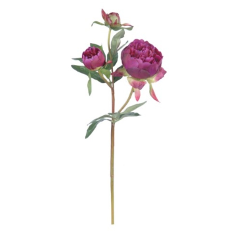 GE86382N.DFU (27190) – Peony Spray 20.08 Dfu