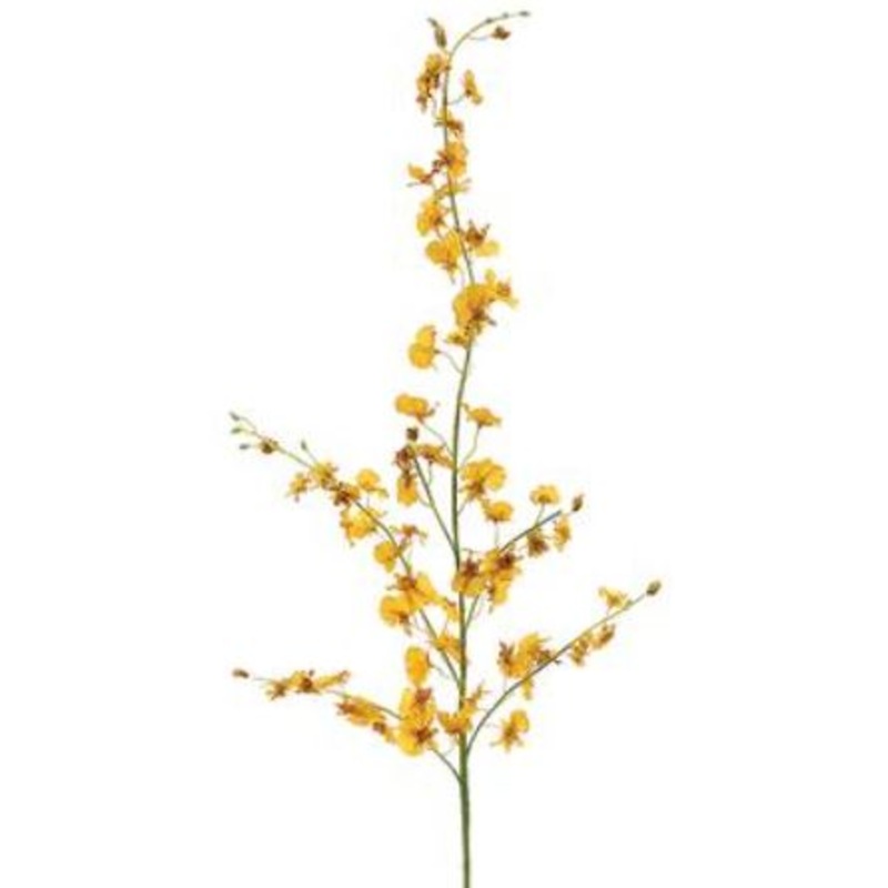 GO9072-YE (29144) – New Dancing Orchid X77 Yellow 40