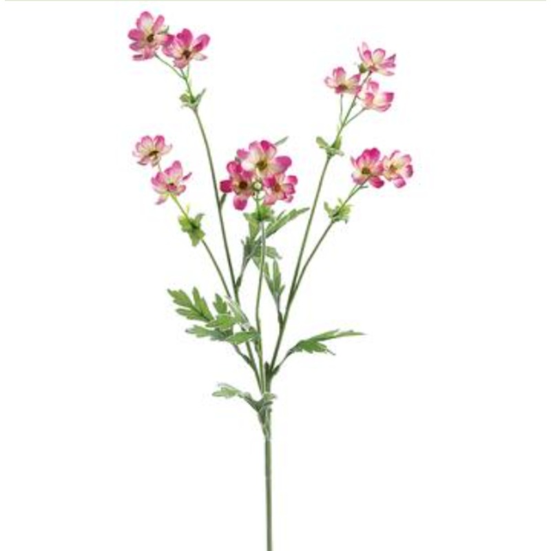 GTC897-FU (28380) – Baby Cosmos 27.5 Sp. X5 Fu