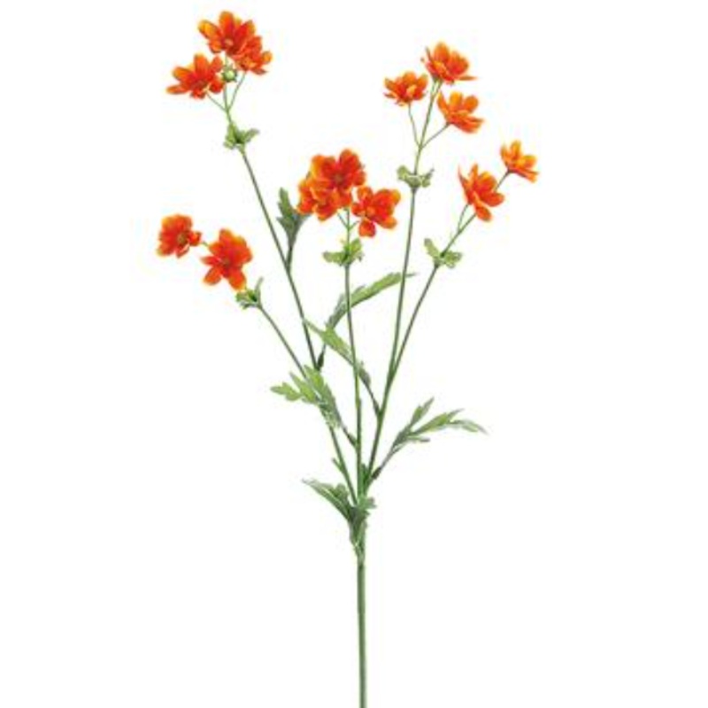 GTC897-OR (28382) – Baby Cosmos 27.5 Sp. X5 Orange