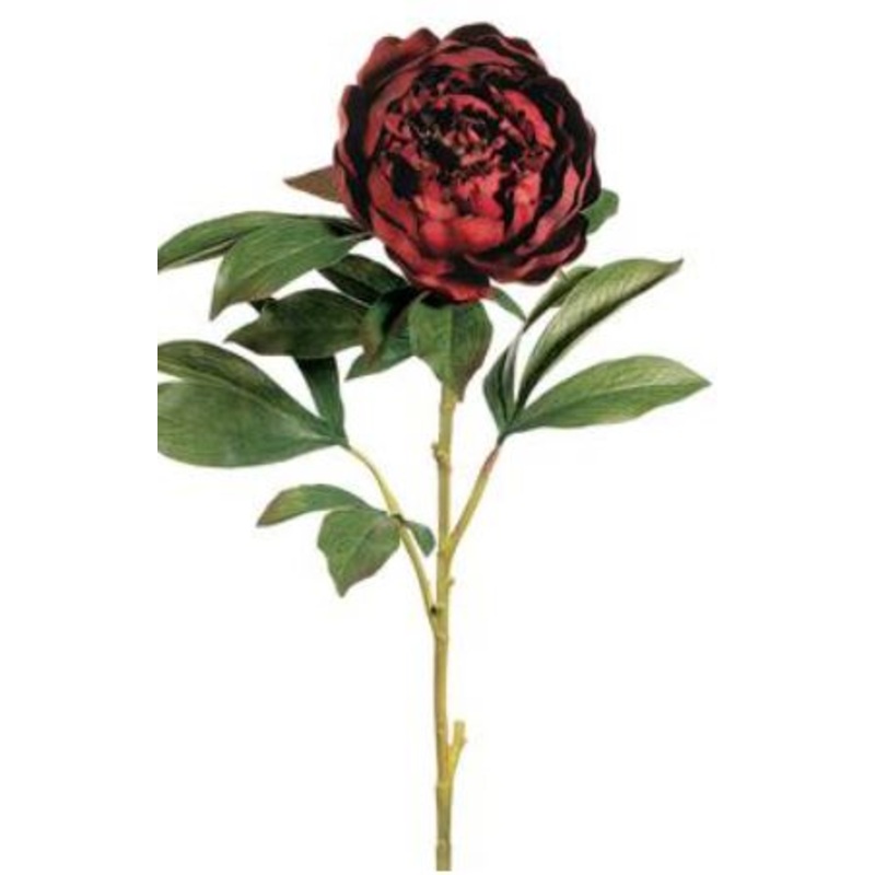 GTP025-BU (30197) – 30 Peony Spray X1 Bu