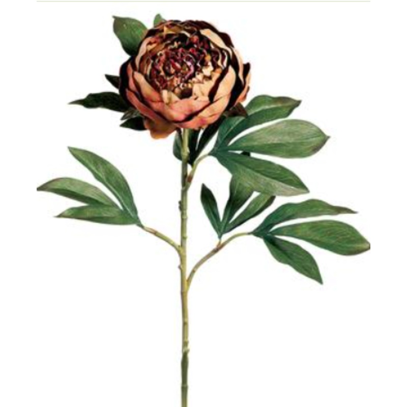 GTP025-CV (27965) – 30 Peony Spray X1 Cv