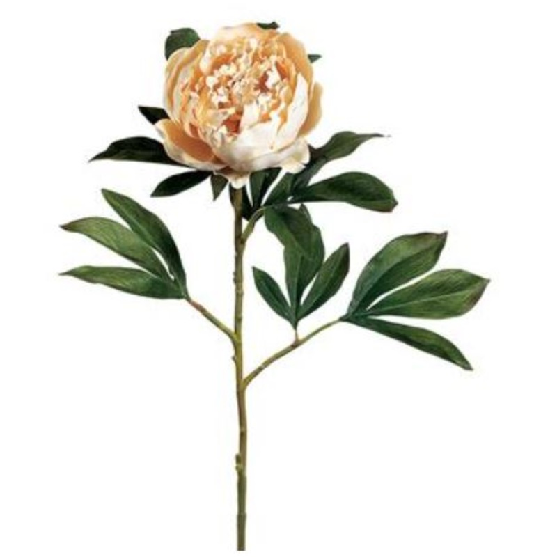 GTP025-VA (30198) – 30 Peony Spray X1 Va