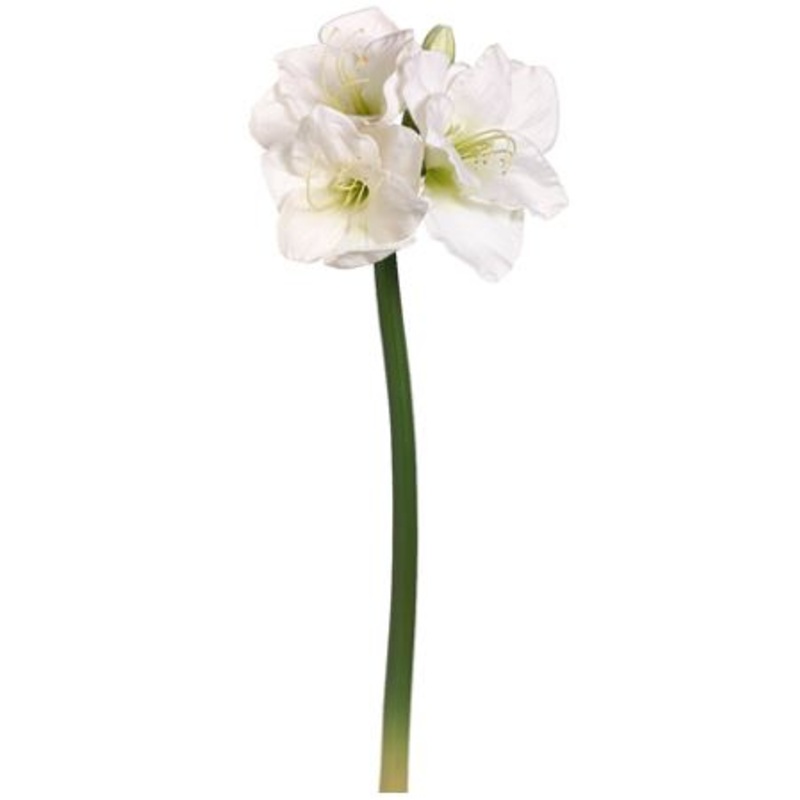 HSA432-WH (30090) – Amaryllis Spray White 29
